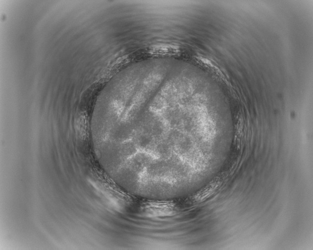 X0000087360659200705111646