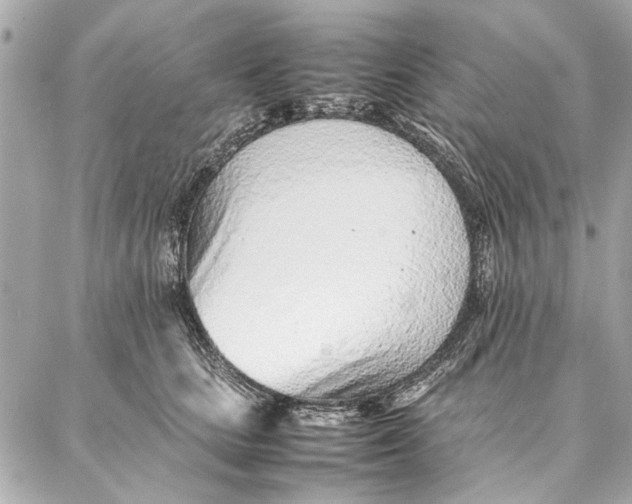 X0000087360661200705111646