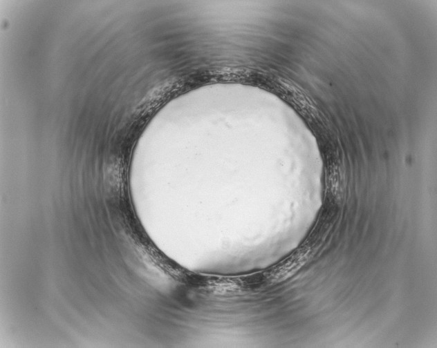 X0000087360662200705111646