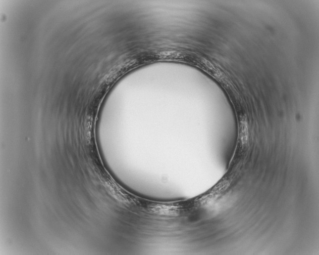 X0000087360664200705111646