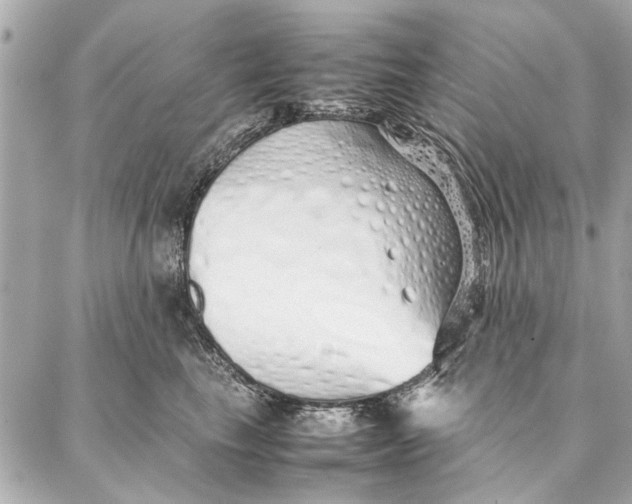 X0000087360665200705111646