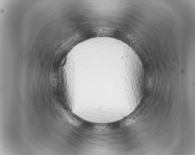 X0000087360666200705111646