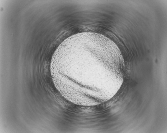 X0000087360667200705111646