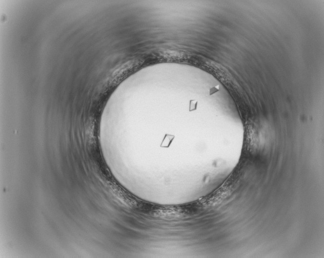 X0000087360668200705111646