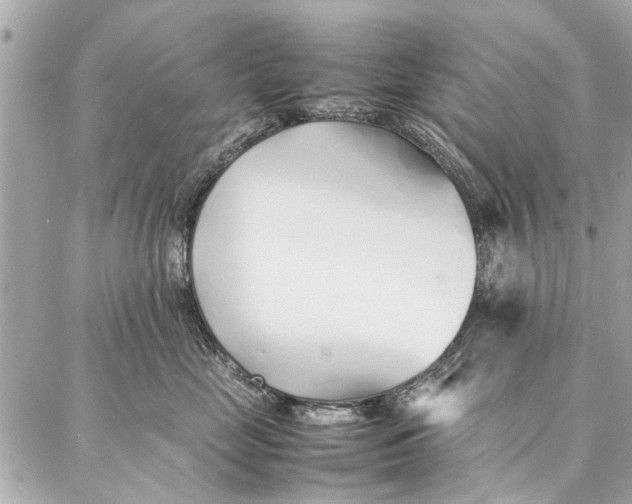 X0000087360669200705111646