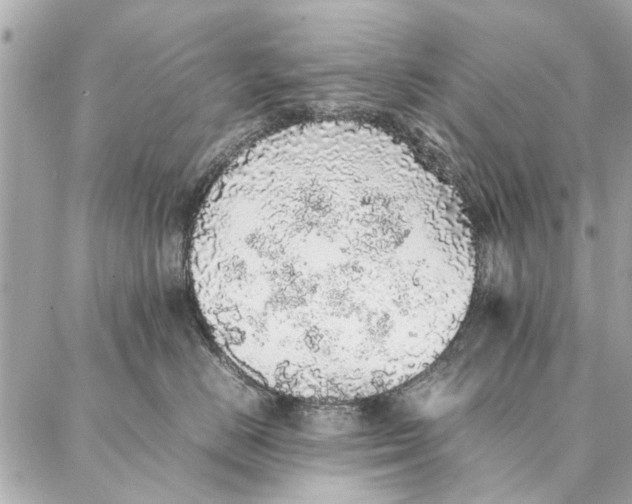 X0000087360670200705111646