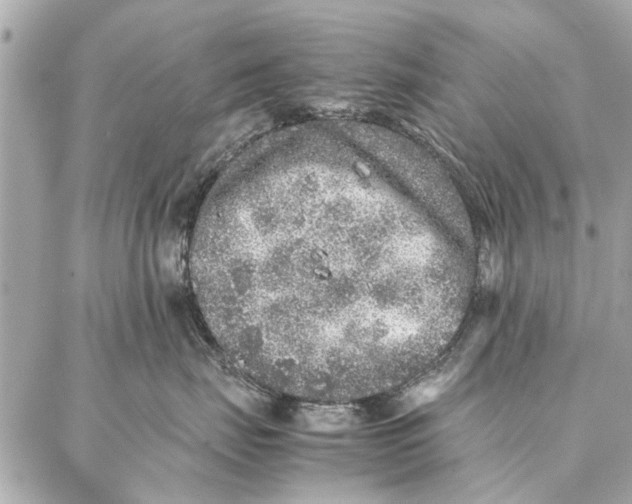 X0000087360671200705111646