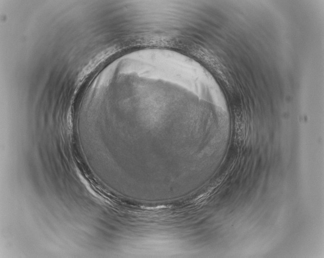 X0000087360674200705111645