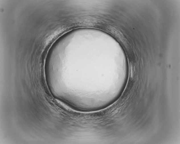 X0000087360675200705111645