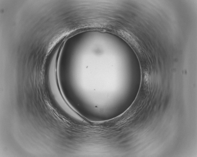 X0000087360676200705111645