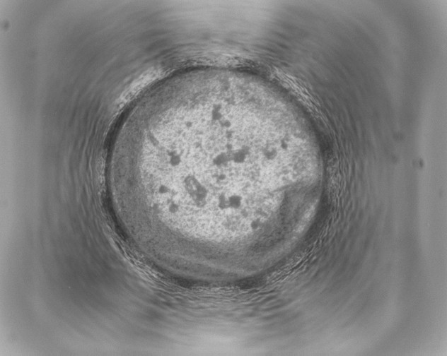 X0000087360679200705111645