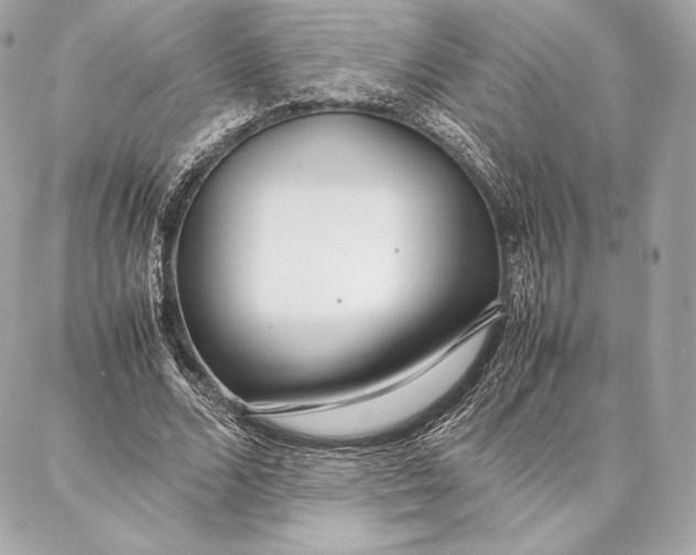 X0000087360680200705111645