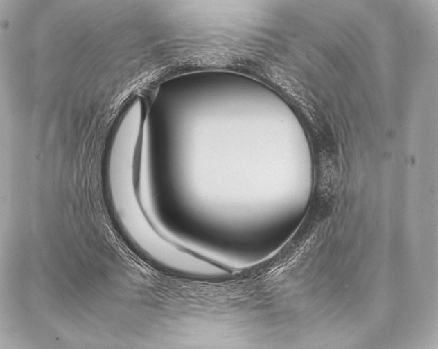 X0000087360681200705111645