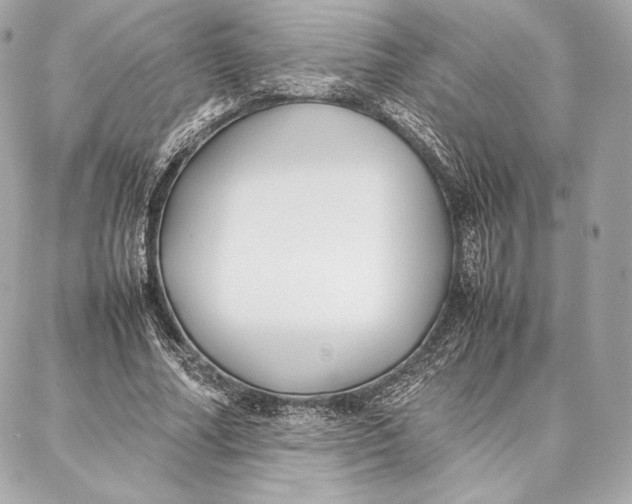 X0000087360682200705111645