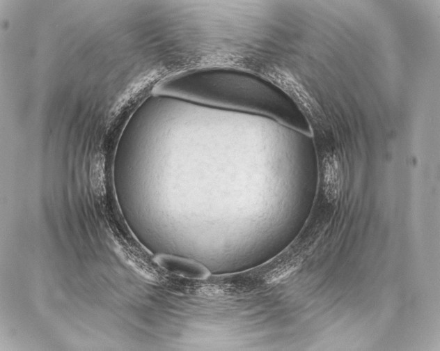 X0000087360684200705111645