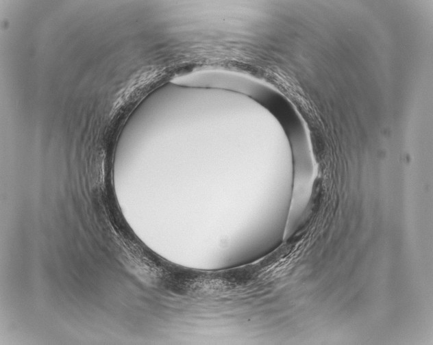 X0000087360685200705111645