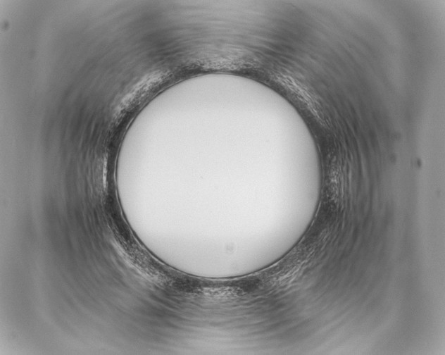 X0000087360686200705111645