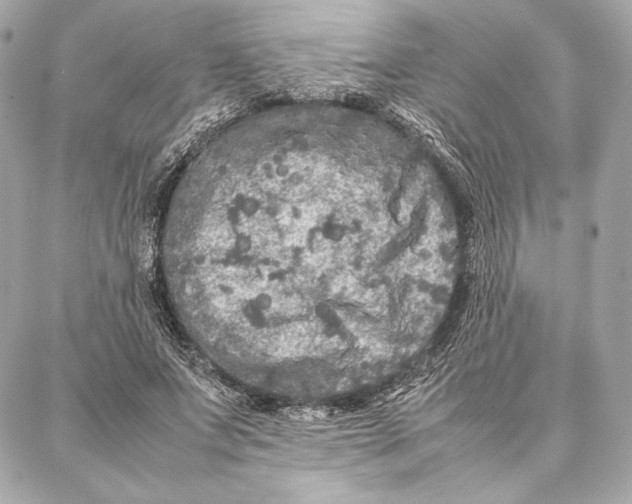 X0000087360687200705111645