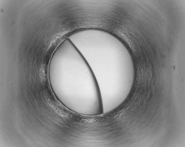 X0000087360688200705111645