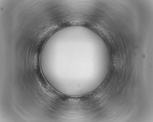 X0000087360690200705111645