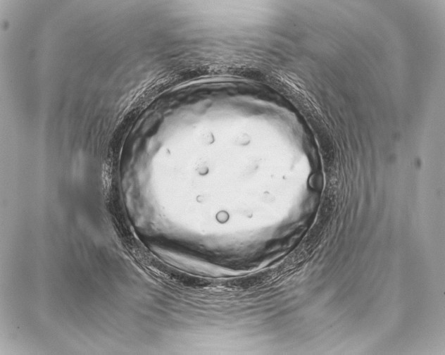 X0000087360691200705111645