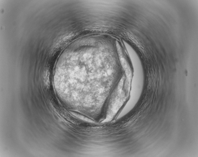 X0000087360692200705111645