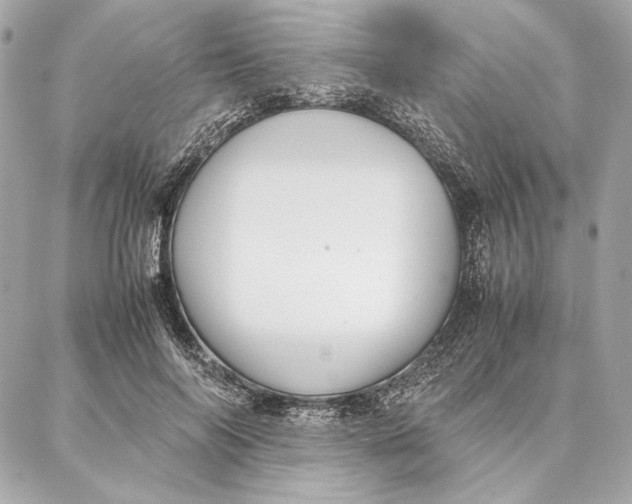 X0000087360694200705111645