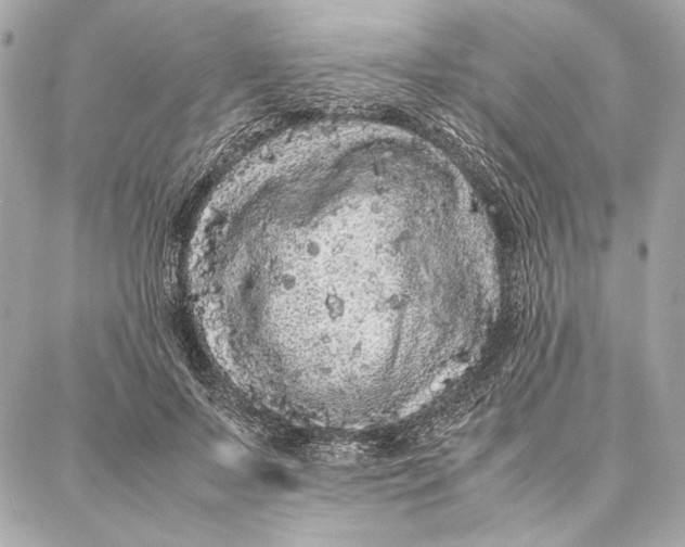 X0000087360695200705111645