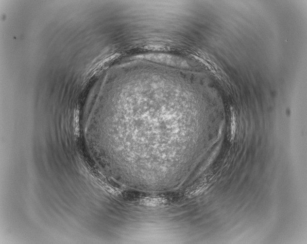 X0000087360696200705111645