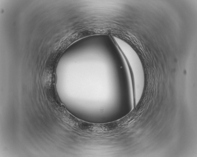 X0000087360697200705111645