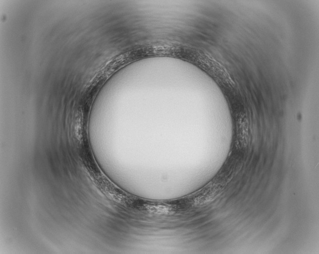 X0000087360698200705111645