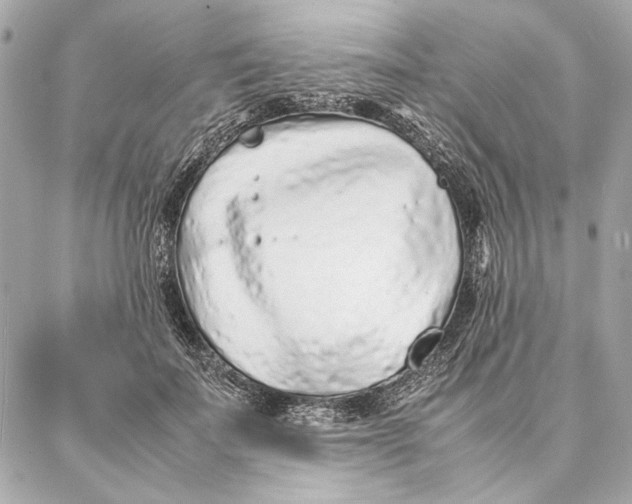 X0000087360699200705111645