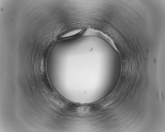 X0000087360700200705111645