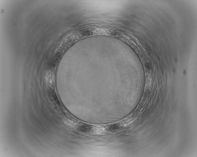 X0000087360701200705111645