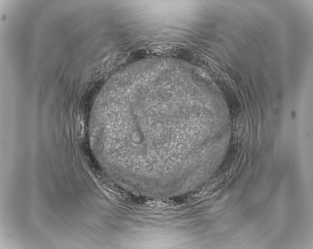 X0000087360703200705111645