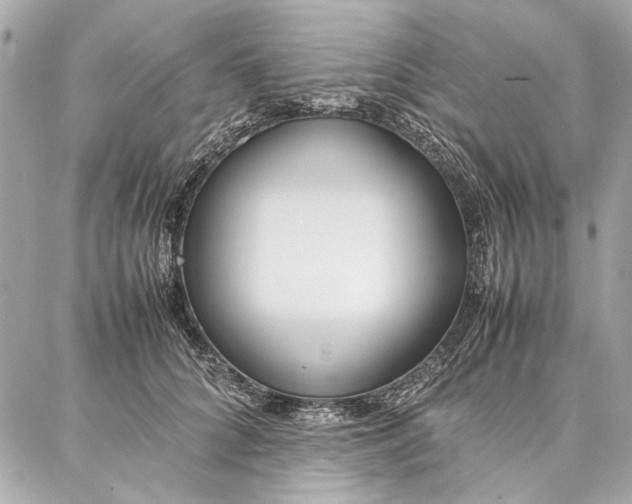 X0000087360704200705111645