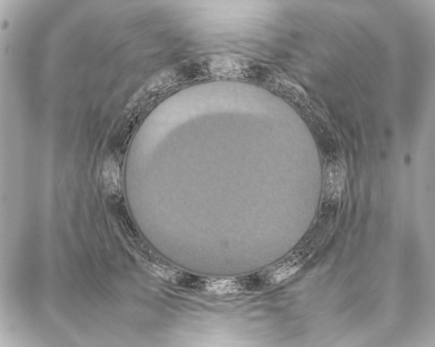 X0000087360705200705111645