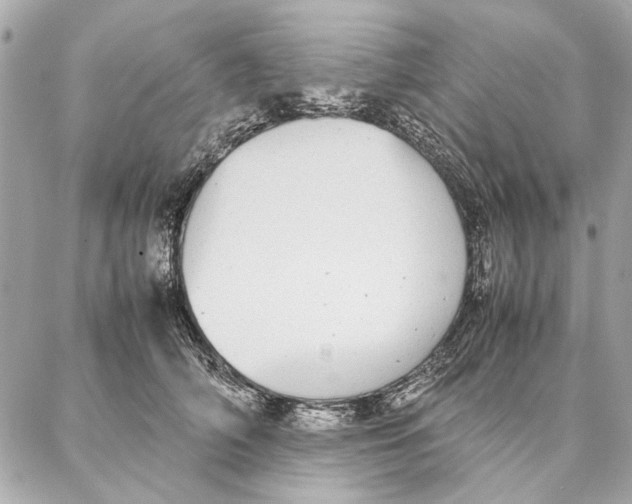 X0000087360706200705111645