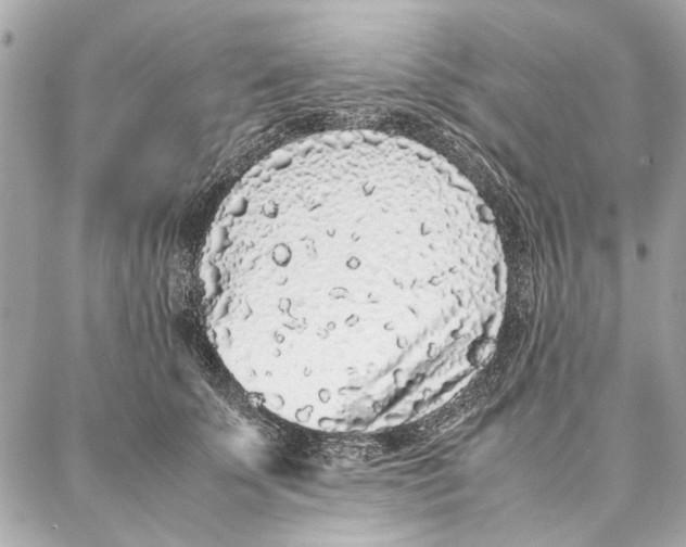 X0000087360707200705111645