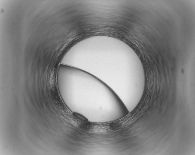 X0000087360708200705111645