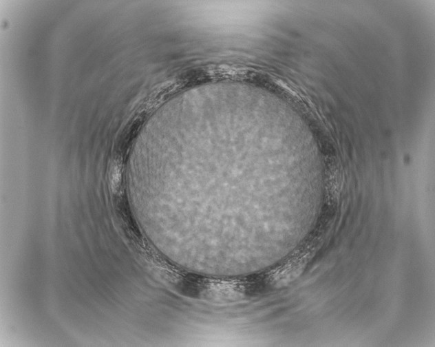 X0000087360709200705111645