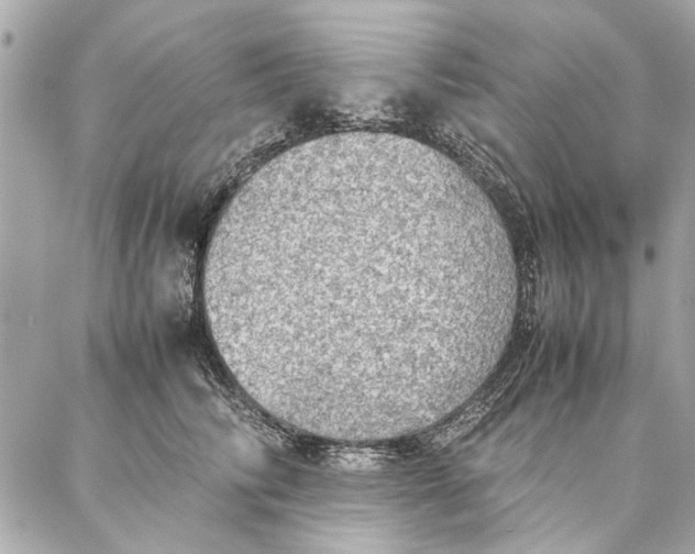 X0000087360710200705111645