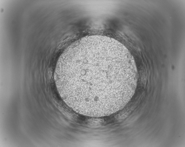 X0000087360711200705111645