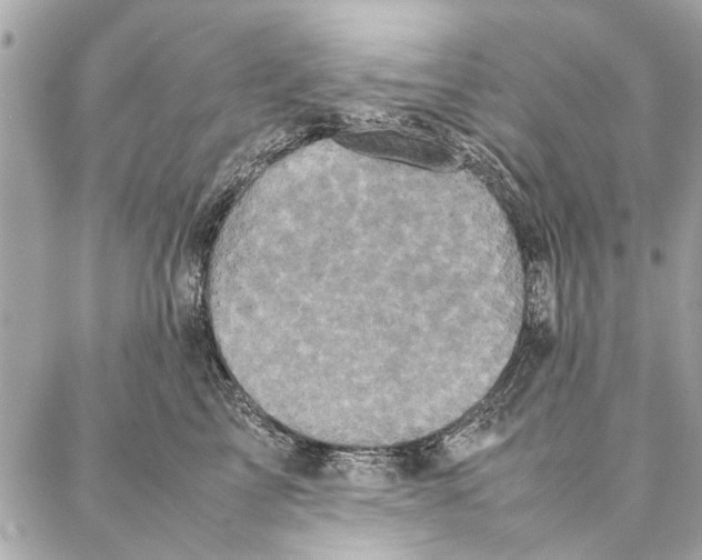 X0000087360713200705111645