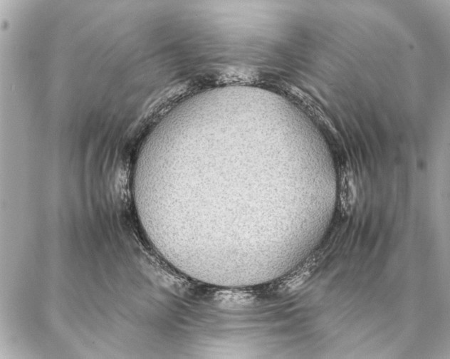 X0000087360714200705111645