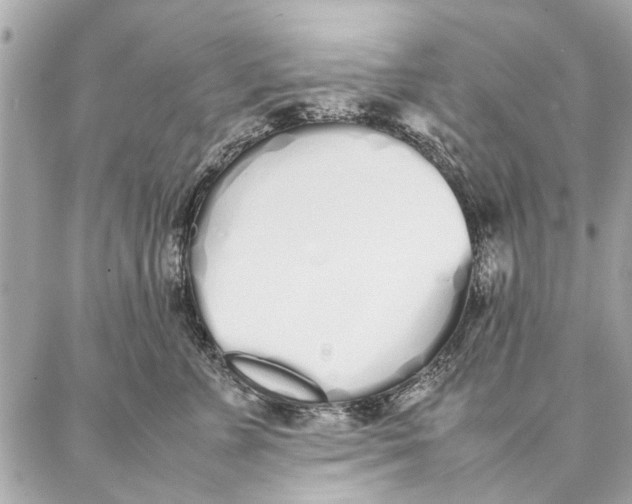 X0000087360715200705111645