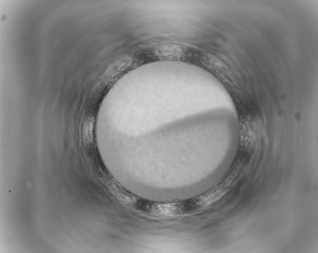 X0000087360717200705111645