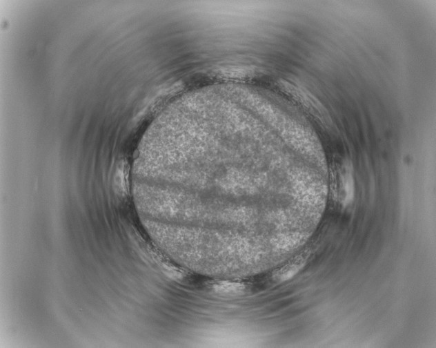 X0000087360718200705111645