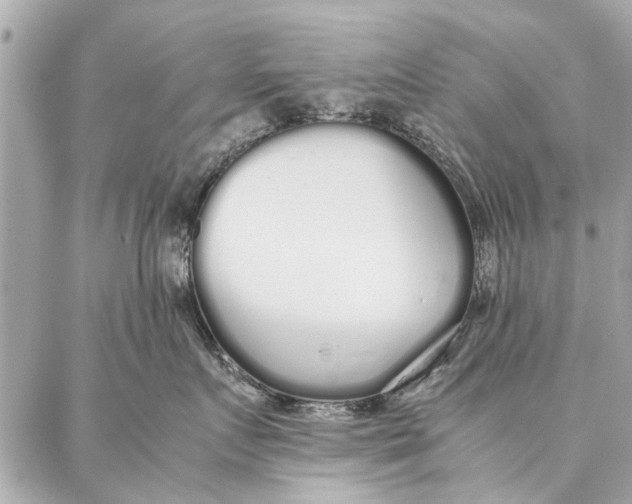 X0000087360719200705111645