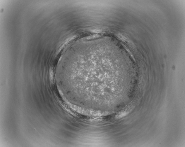 X0000087360720200705111645